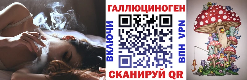 Галлюциногенные грибы Psilocybine cubensis  Павловск 